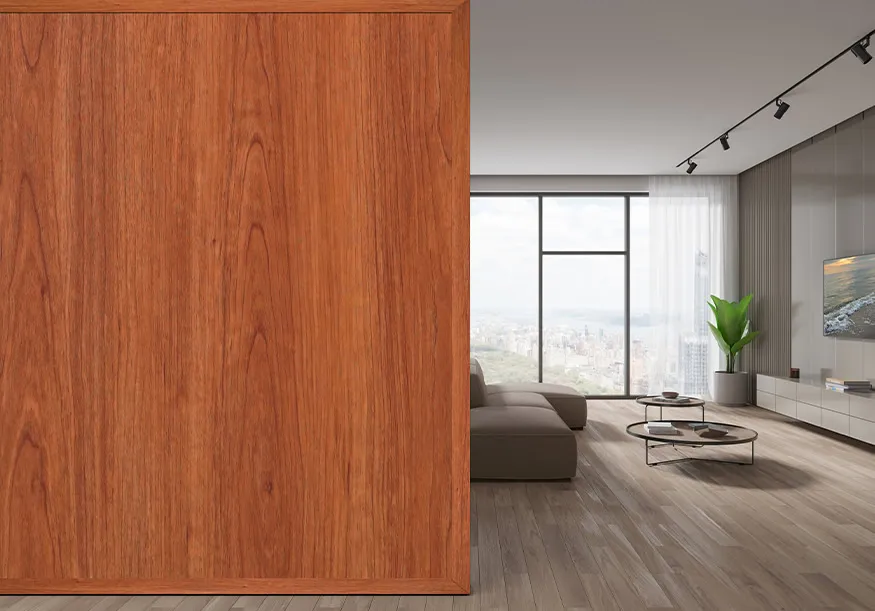 Ung Dung Phong Khach Vach Ngan Nhua